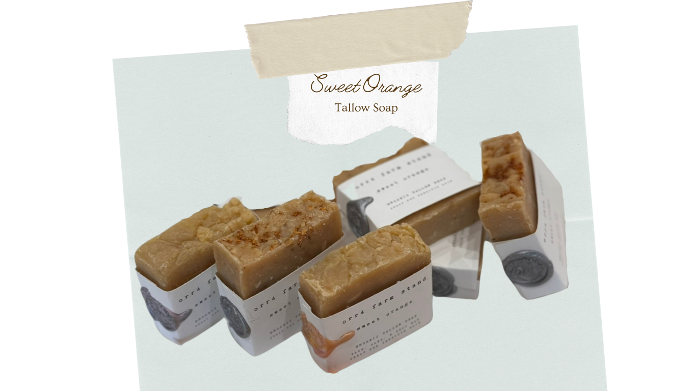 Organic Tallow Soap– Nourishing Hand, Face, & Body Bar